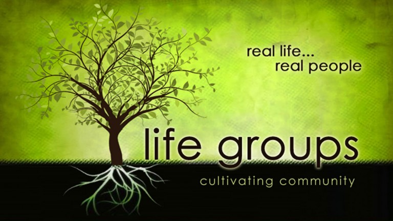 New LIFE Fellowship - LIFE GROUP TRAINING